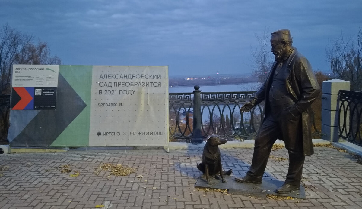 Собаки в Нижнем Новгороде – фотозарисовки о собачьей жизни с юмором |  Нижегородские зарисовки | Дзен