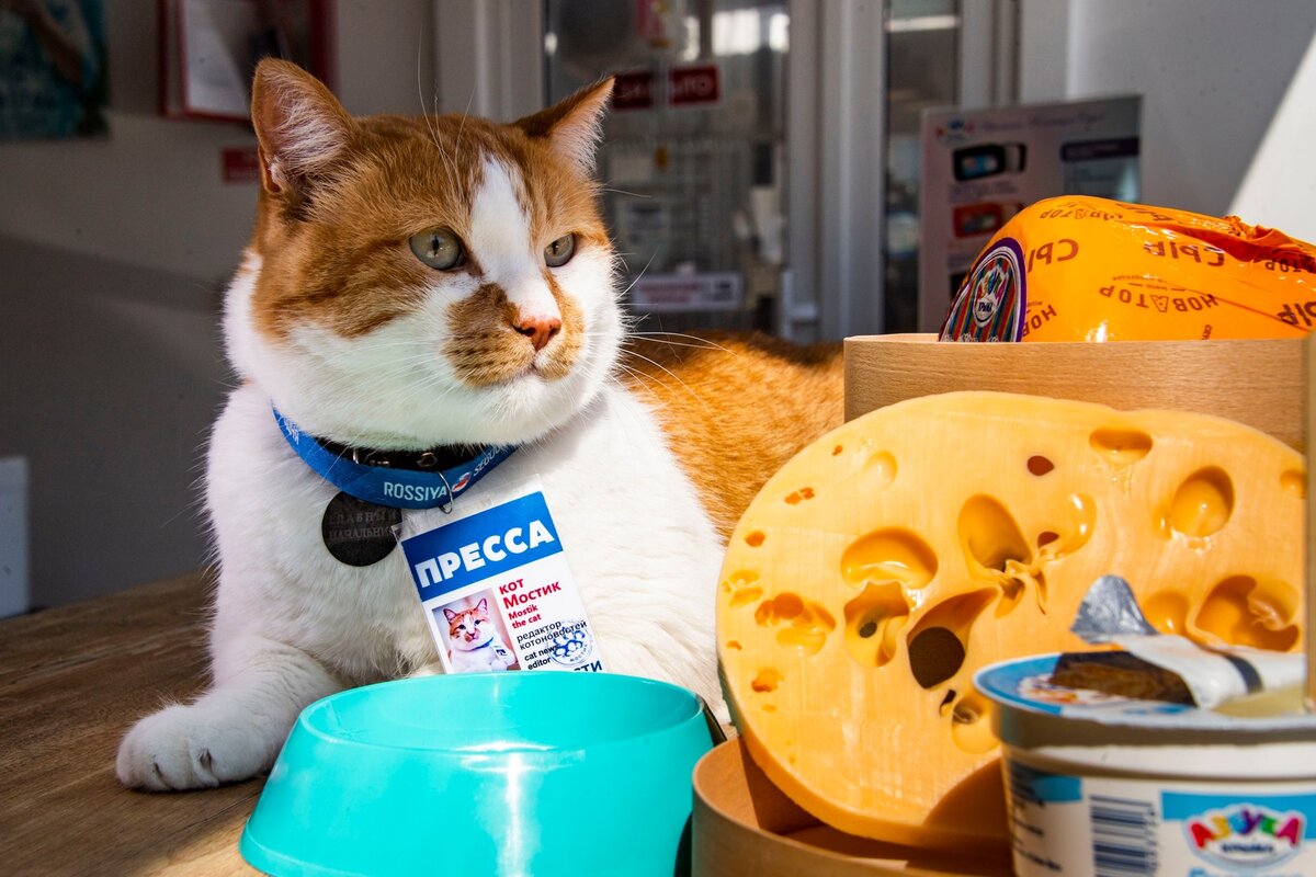 Обожаю гастрономические пресс–туры! 