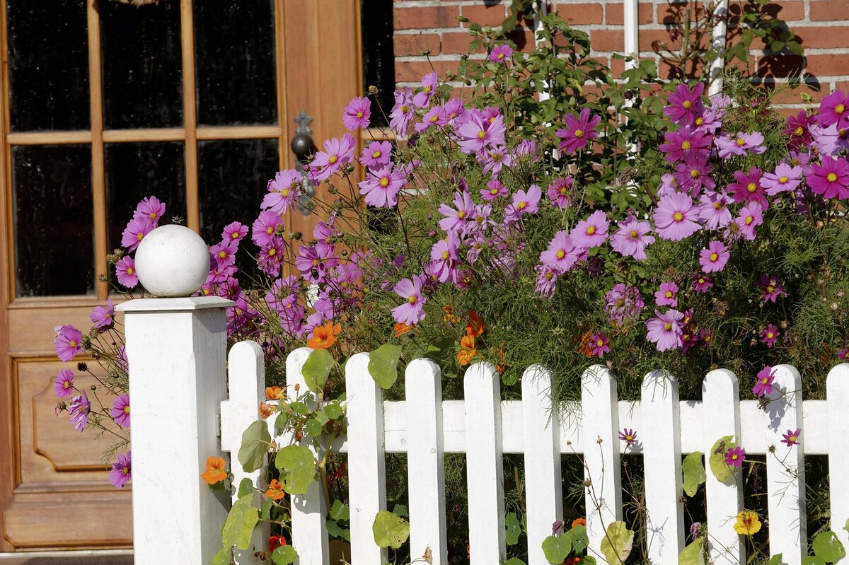     Как зрительно увеличить площадь участка? 5 шагов для оформления маленького сада