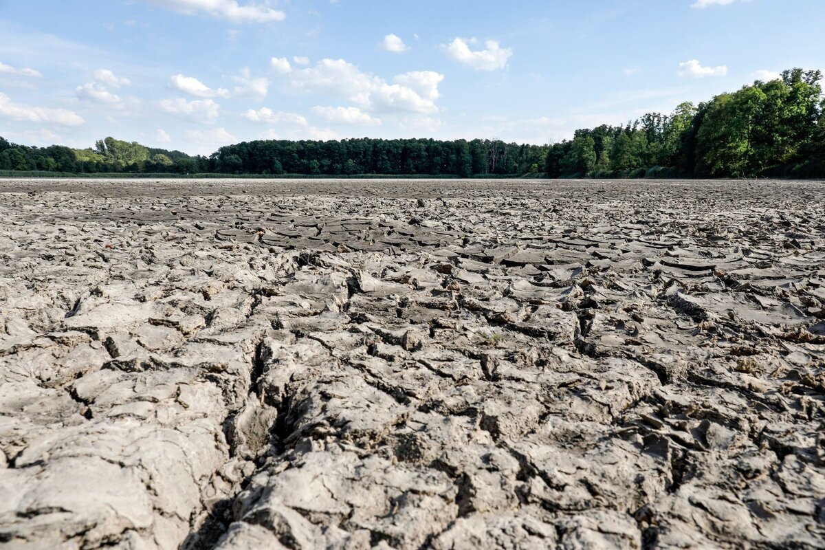        globallookpress.com / © IMAGO/Jochen Eckel / imago-images.de