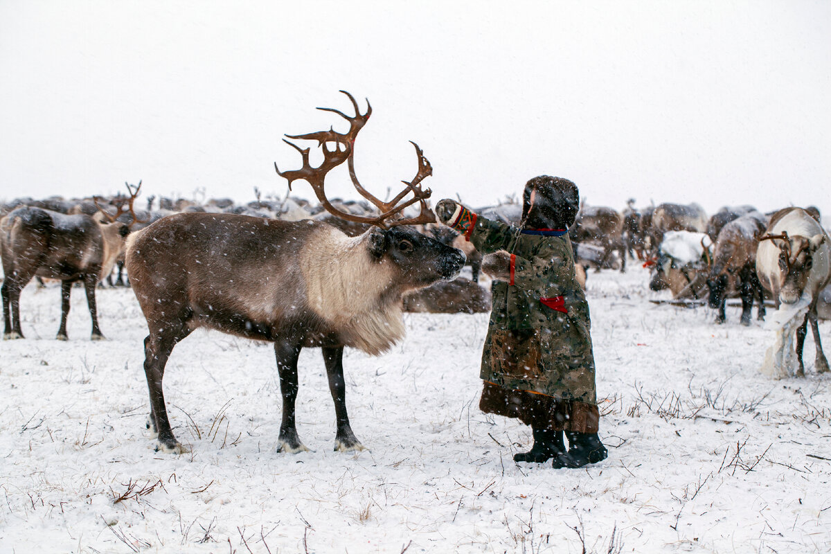 Фото: evgenii mitroshin/Shutterstock/Fotodom