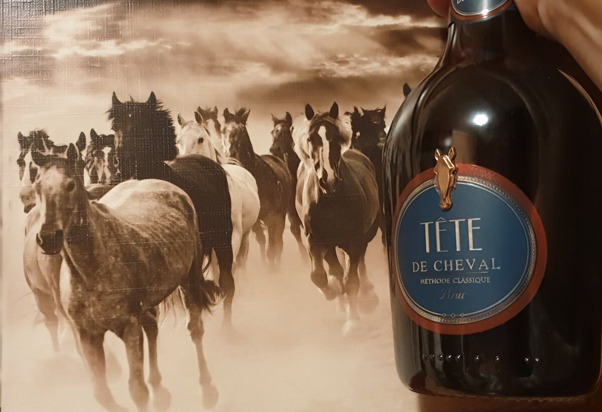 Игристое вино Tete de Cheval Brut