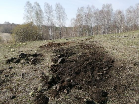    Повреждение объекта культурного наследия федерального значения «Камешок 1, поселение». Алтайский край ФСБ