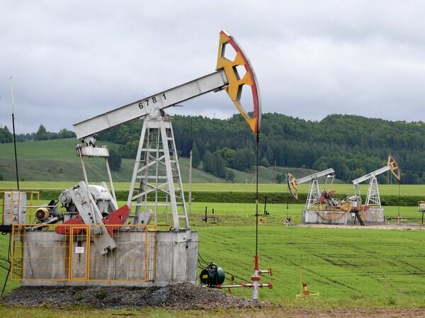   © РИА Новости Максим Богодвид