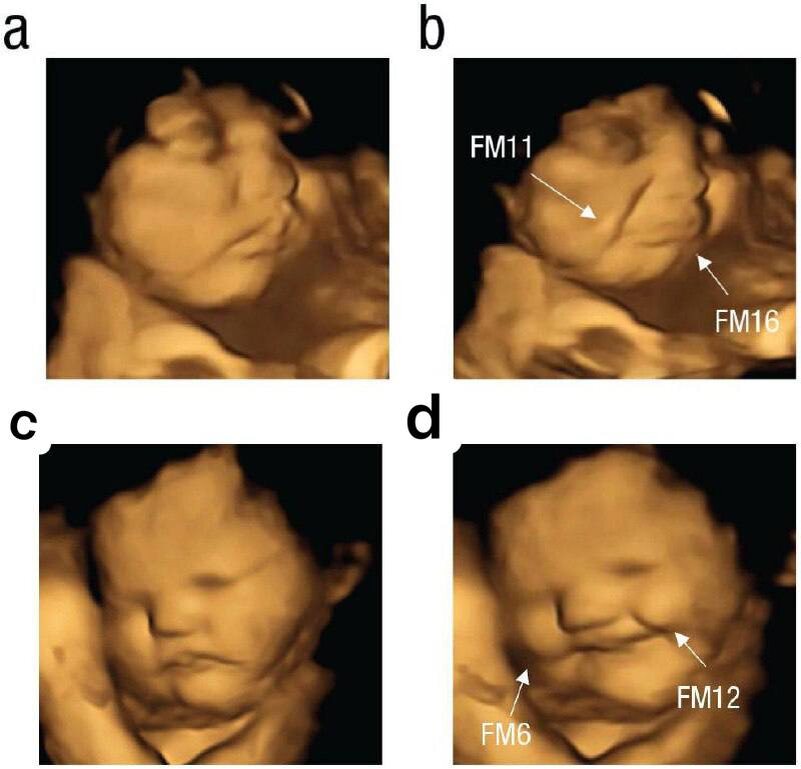 a,b - мать ела капусту, c,d - морковку