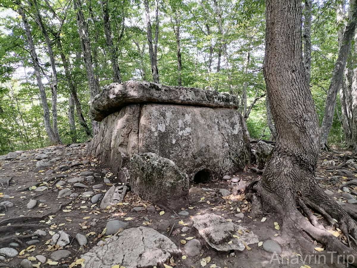 Один из наиболее сохранившихся дольменов, находящийся рядом с поселком Каменномостский в Адыгее.