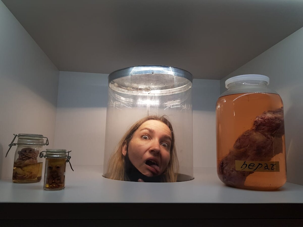 Ну или такое🤣