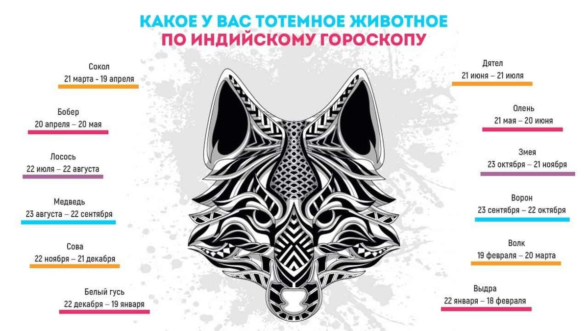 Источник: открытые источники 