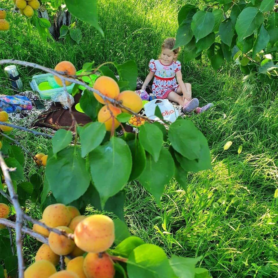 Признавайтесь, подглядываете за соседями? 🙂