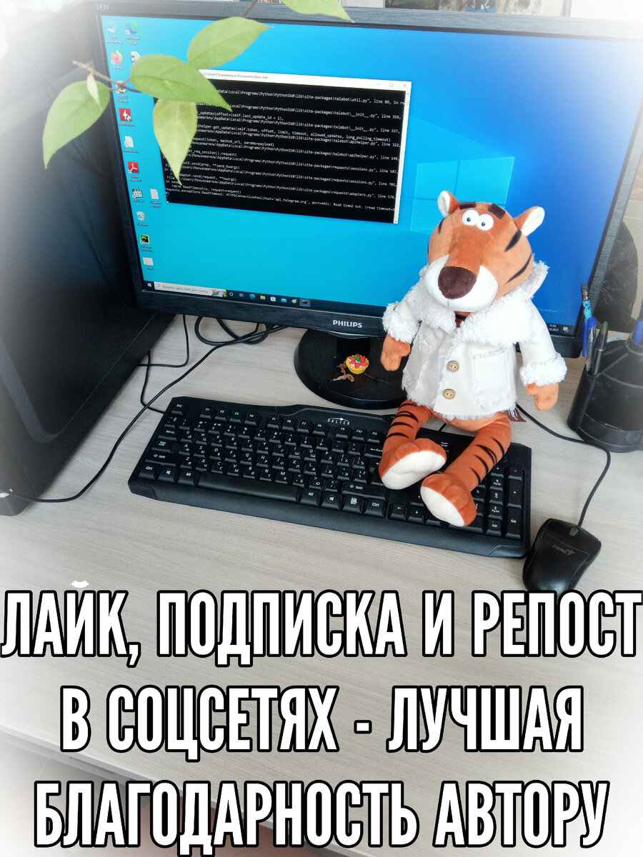 А еще для подписчиков публикуется закрытый контент, который не выкладывается в общий доступ.