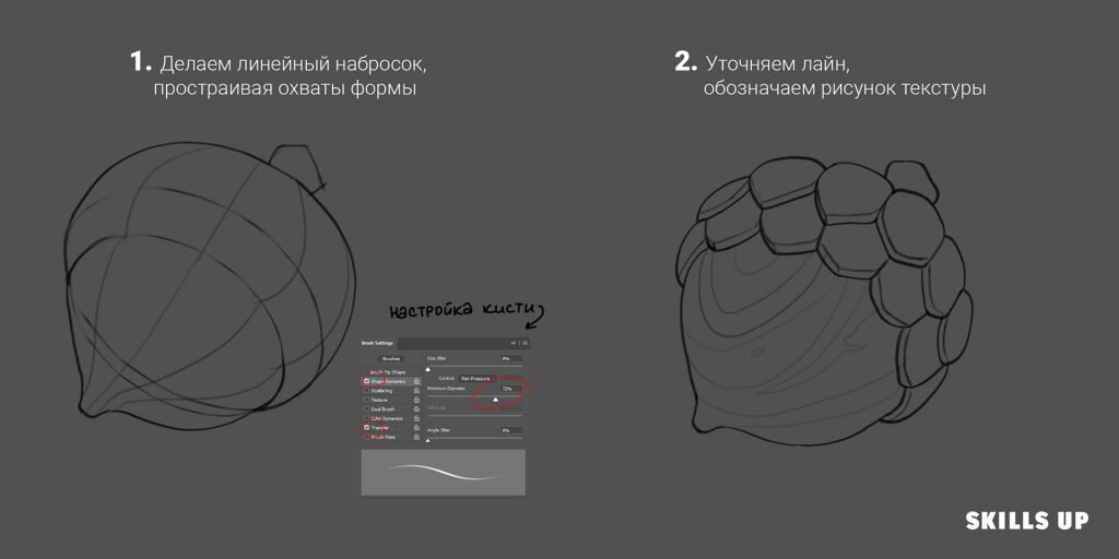 страница 7 | Орех рисунок Изображения – скачать бесплатно на Freepik