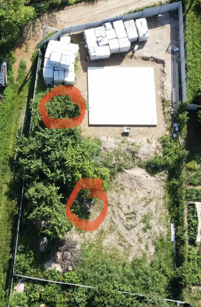 Было (посадки роз, фото мое)