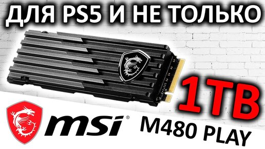 Для PS5 и не только - SSD MSI Spatium M480 Play 1TB (S78-440L680-P83)