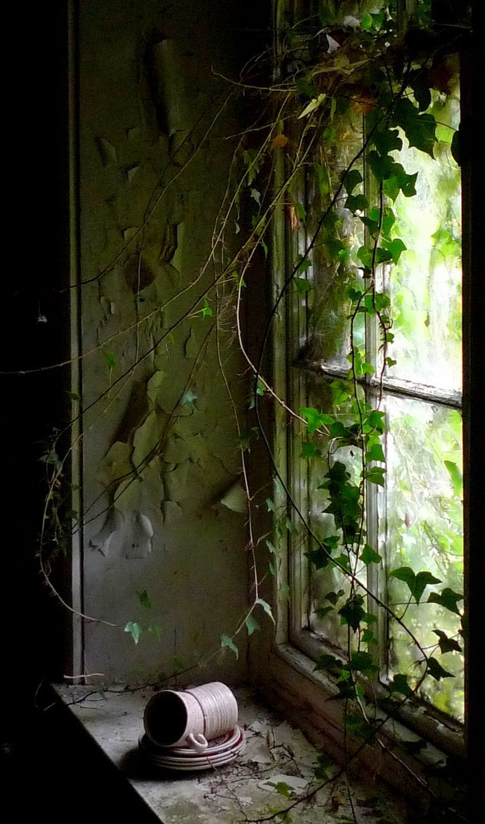 интернет ресурс