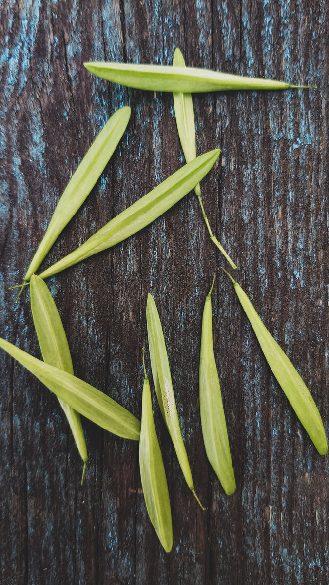 Сочетание текстур. Деревянный фон всегда красиво и гармонично смотрится. 