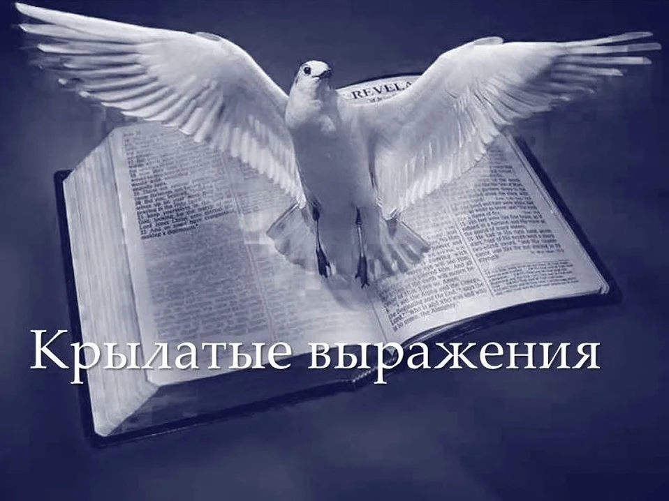 Крылатые фразы картинки