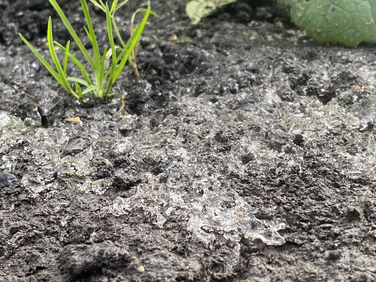 Ледышки на почве после пополудни. 