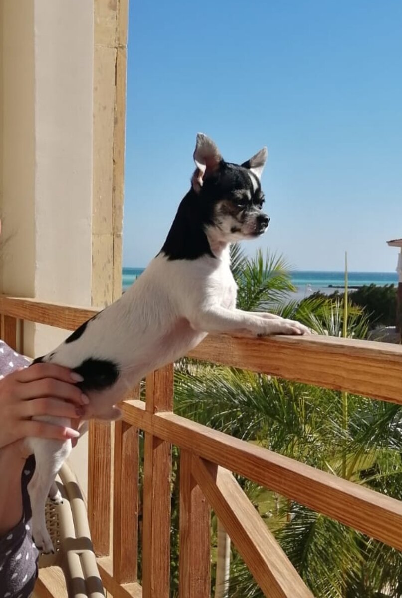 Хургада, февраль 2022. Из личного архива.