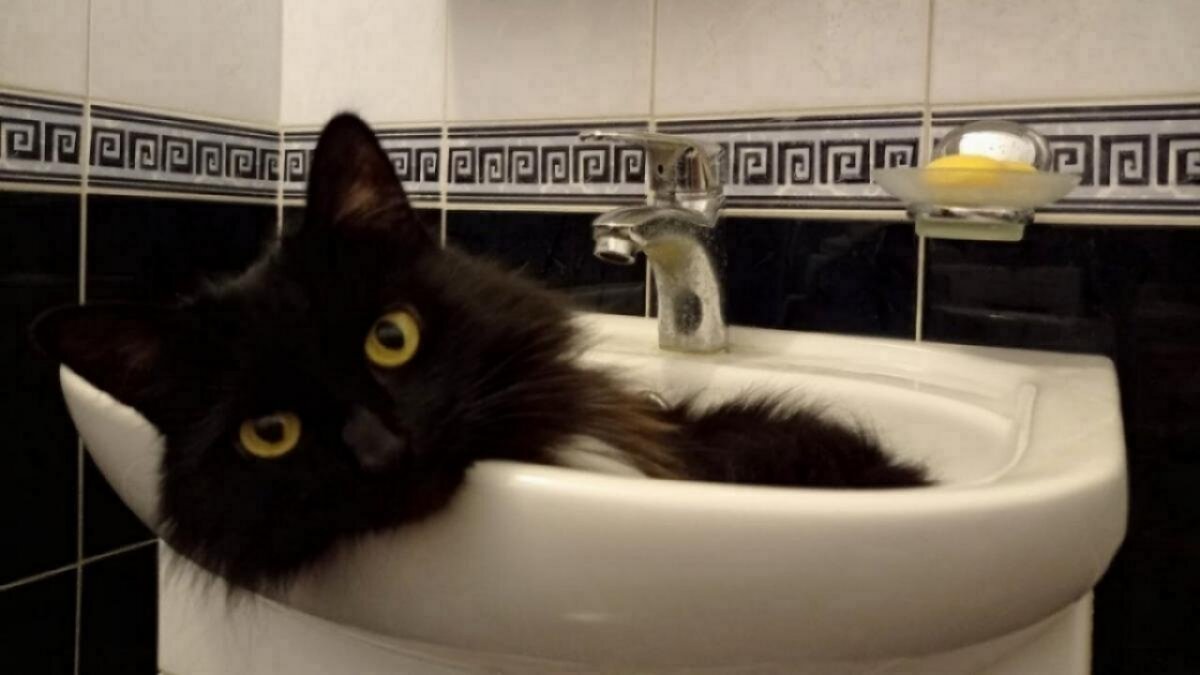    Жителям Волжского района отключили воду до вечера из-за ремонта на СоколовогорскойНовости Саратова и области – Сетевое издание «Репортер64»