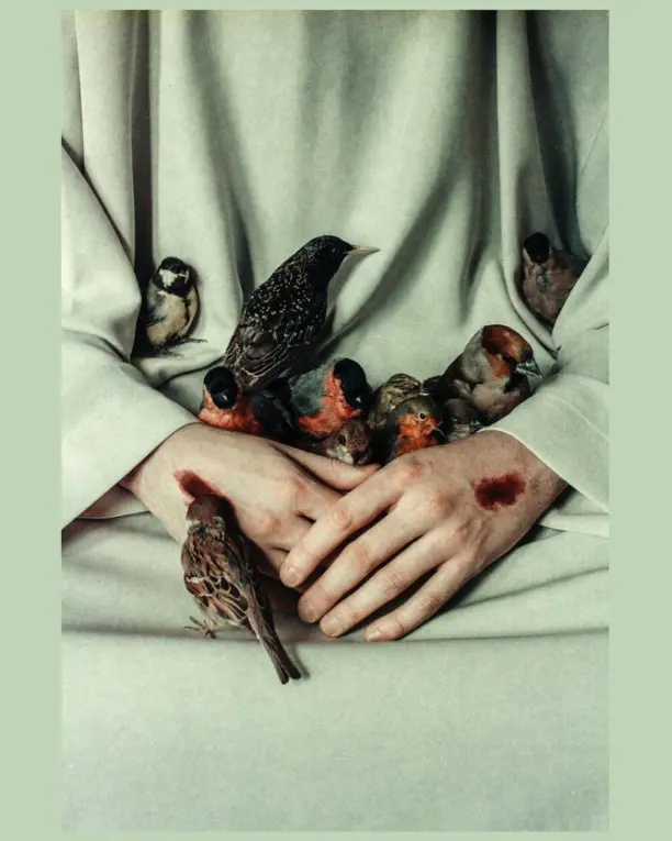 Life in photographs.  Laura Macabrescu.