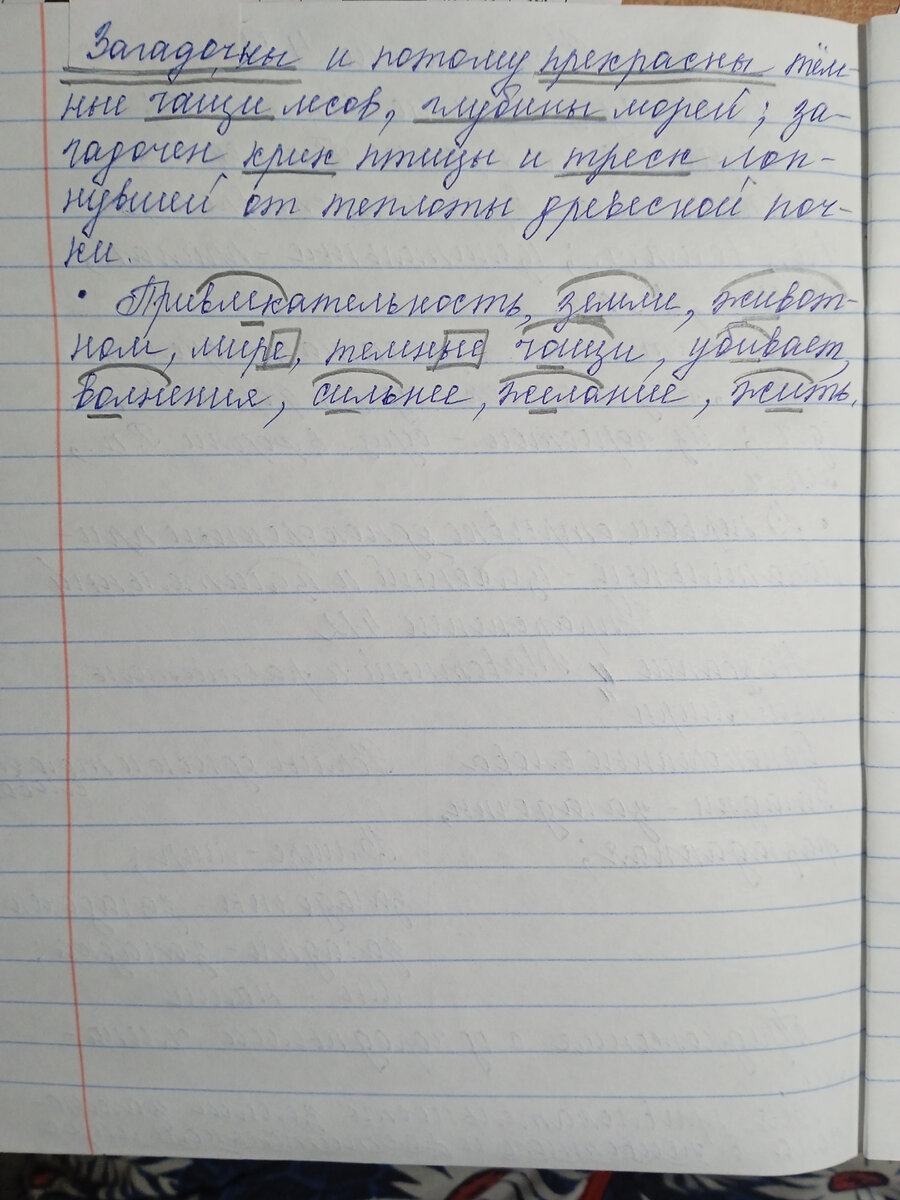 Упр. 411, 412 Учебник русского языка для 5 класса Т.А. Ладыженской, М.Т.  Баранова, Л.А. Тростенцовой, М.: Просвещение, 2019 | Готовые домашние  задания по русскому языку | Дзен