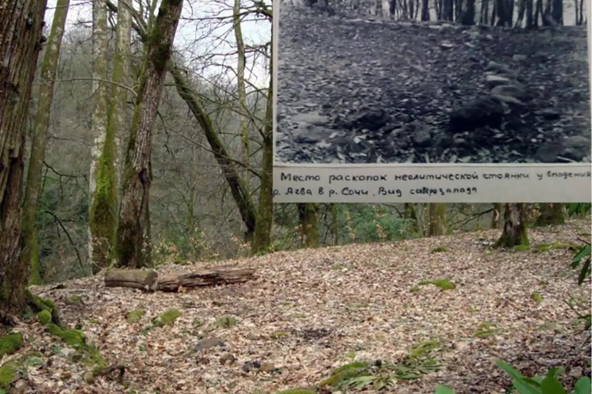    Стоянка древнего человека. Фото: Сочинский Национальный Парк