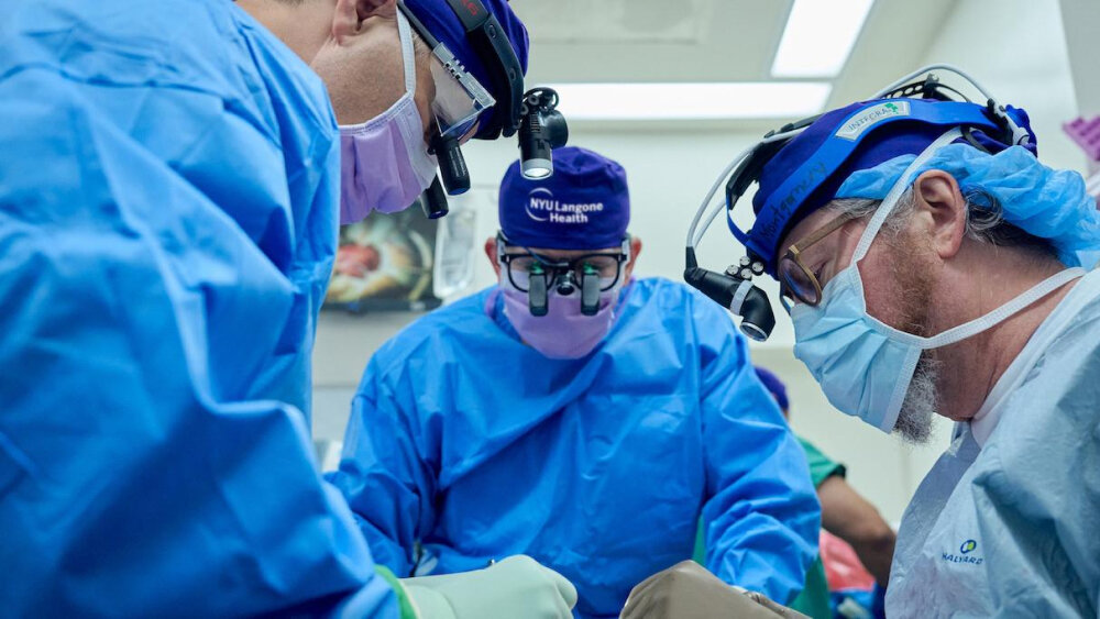     Фото: JOE CARROTTA / NYU Langone Health