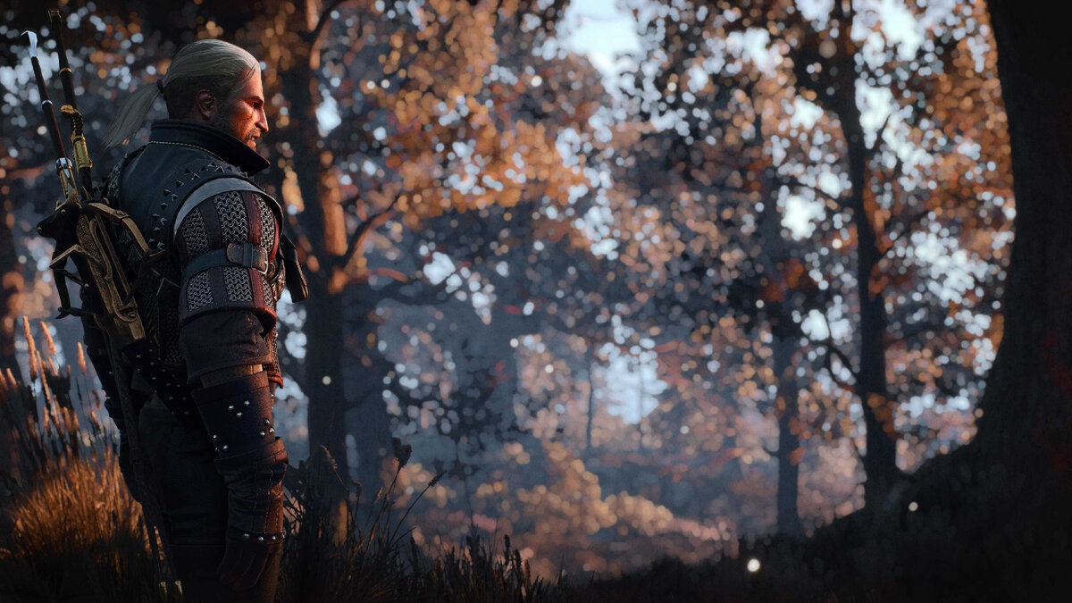 Ведьмак 3 бюджет игры. Витчер 3. Ведьмак 3 Ansel. The Witcher 3 Wild Hunt. The Witcher 3 Геральт.