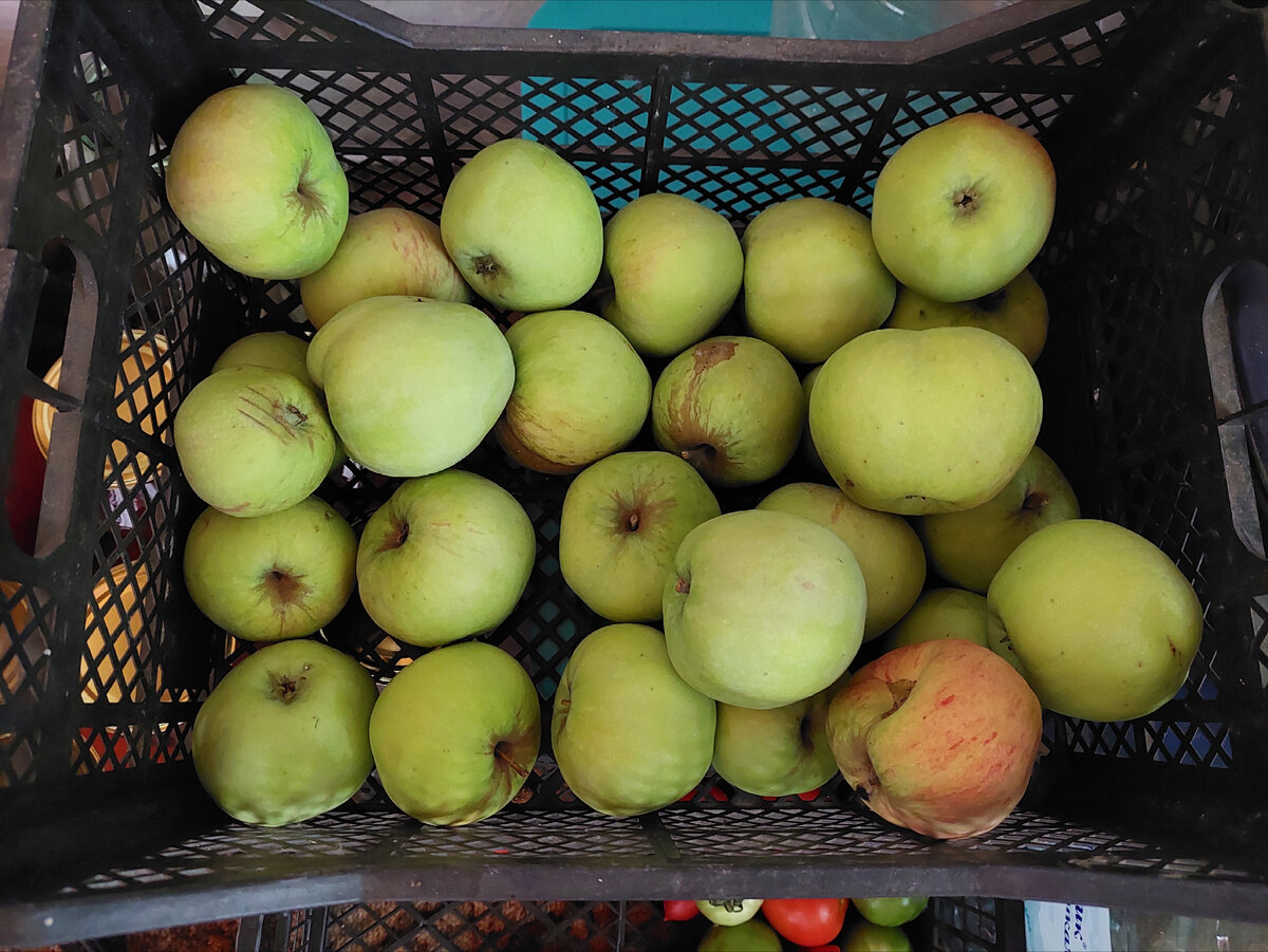 Вот эти яблочки. Это от них разносился аромат. 