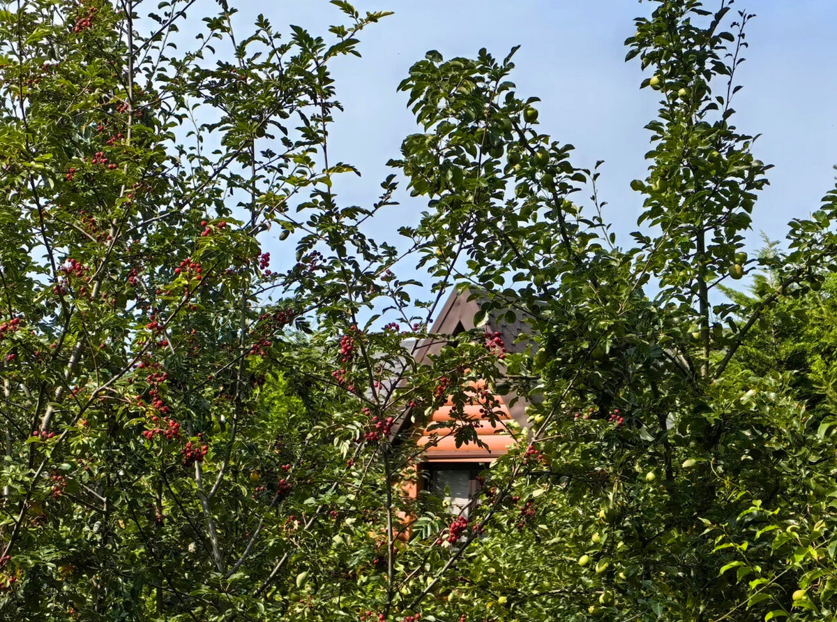 Фото из личного архива автора