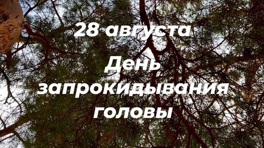 Пожелания с добрым утром с ангелочками. День запрокидывания головы 28 августа картинки. День запрокидывания головы 28 августа картинки. День запрокидывания головы 28 августа картинки. День запрокидывания головы 28 августа картинки.