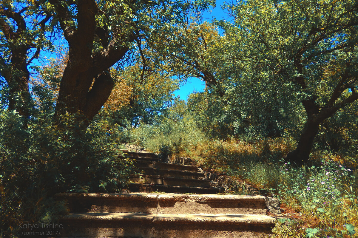 Листайте галерею, чтобы увидеть больше изображений.