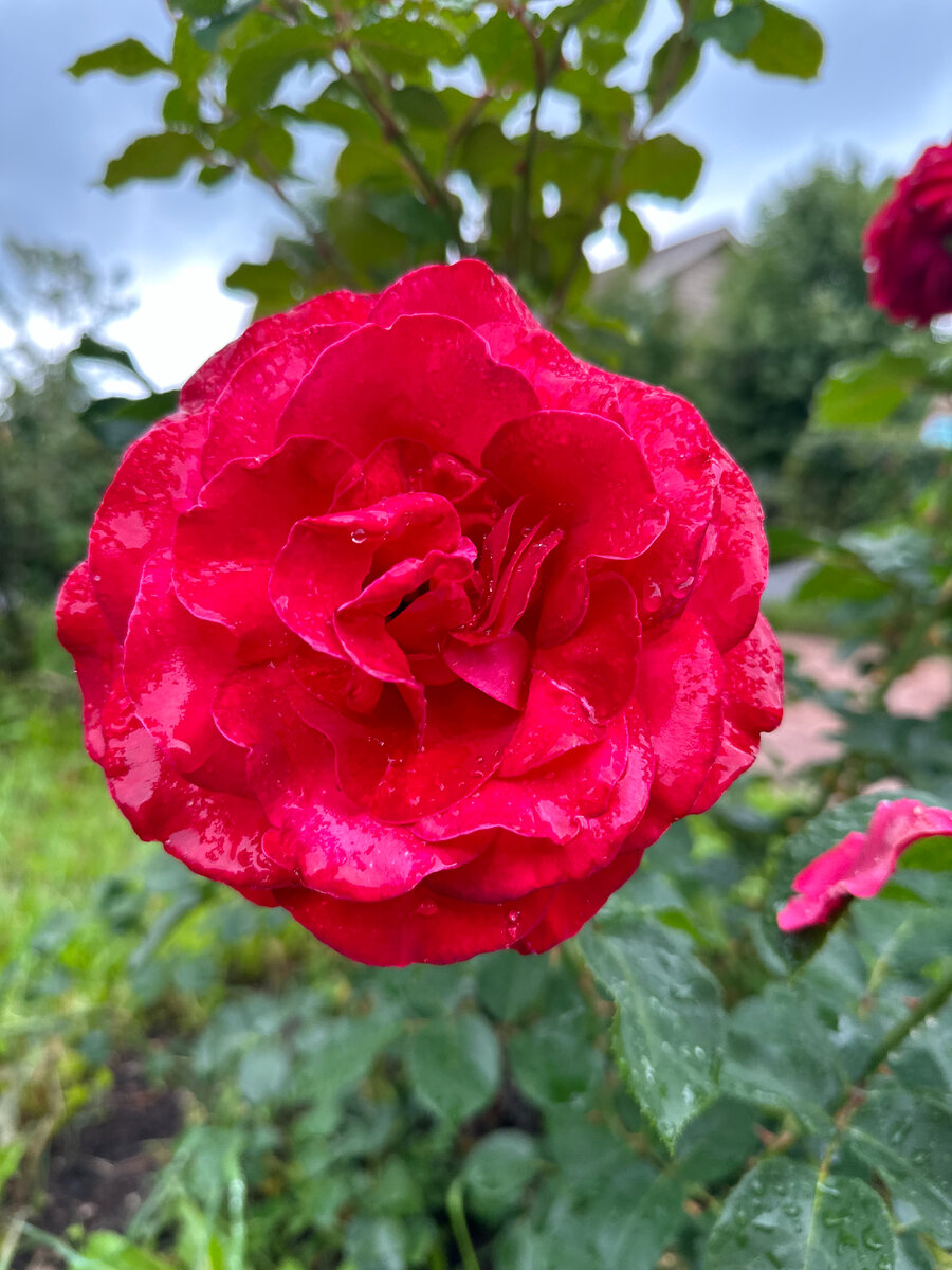 Фото автора