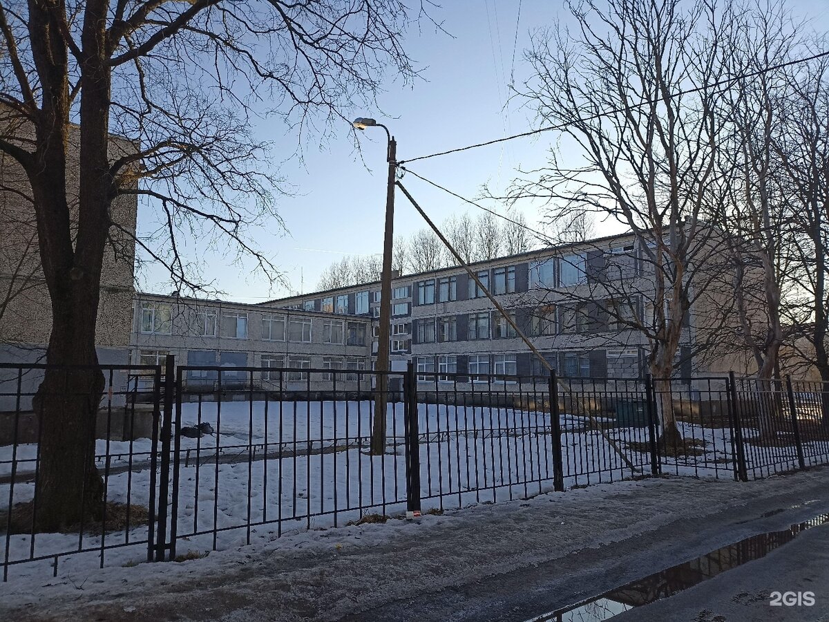 Фото школы красносельского района Сайт школы 208 спб Подготовка к школе. Канцелярские товары в СПБ. Дзен