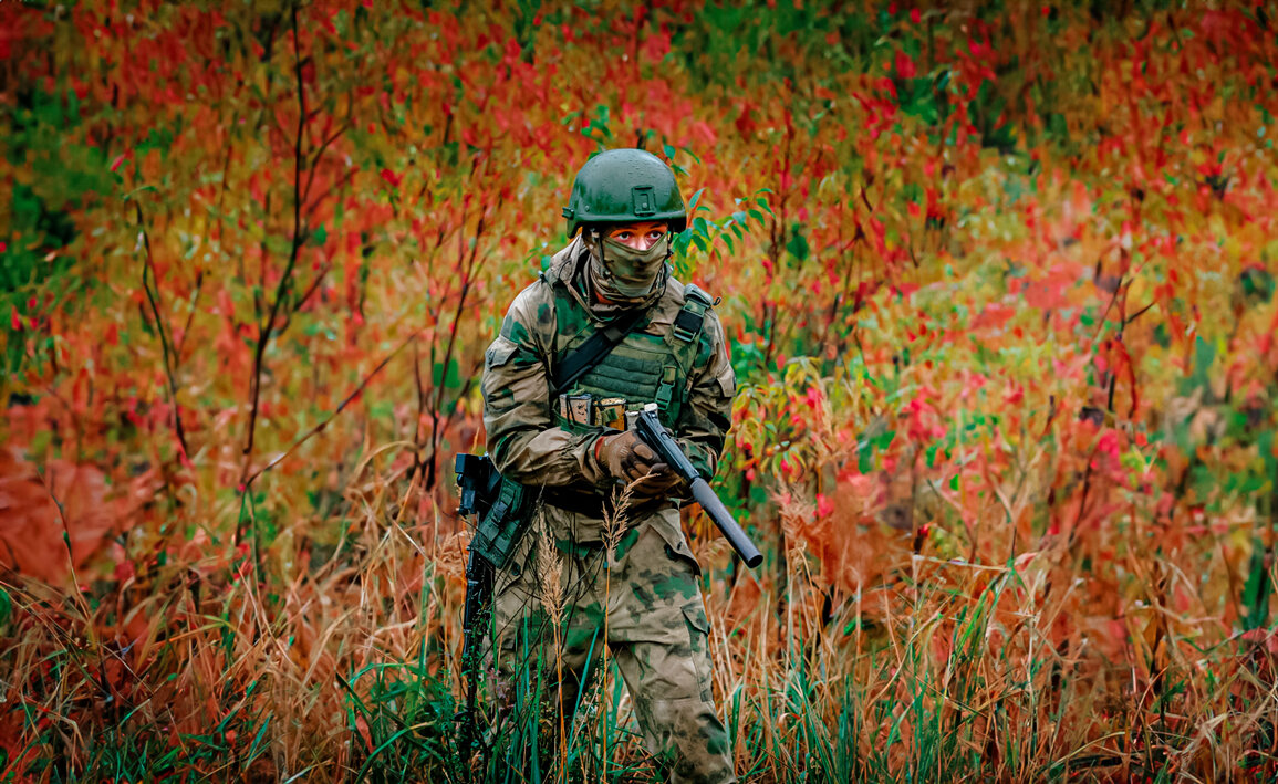 Все изображения взяты из открытых источников.