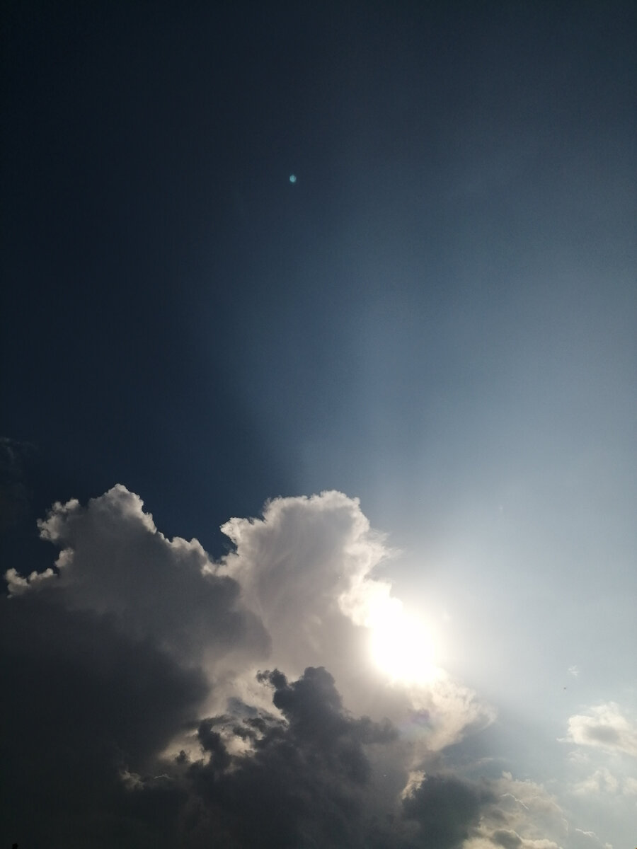 Фото из моей личной коллекции.