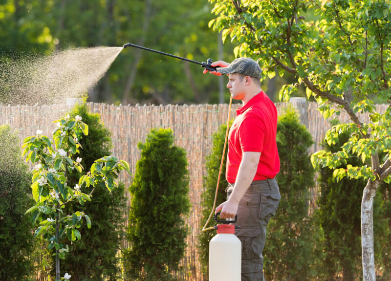  Борьба с вредителями. Иллюстрация для статьи используется по стандартной лицензии ©ofazende.com