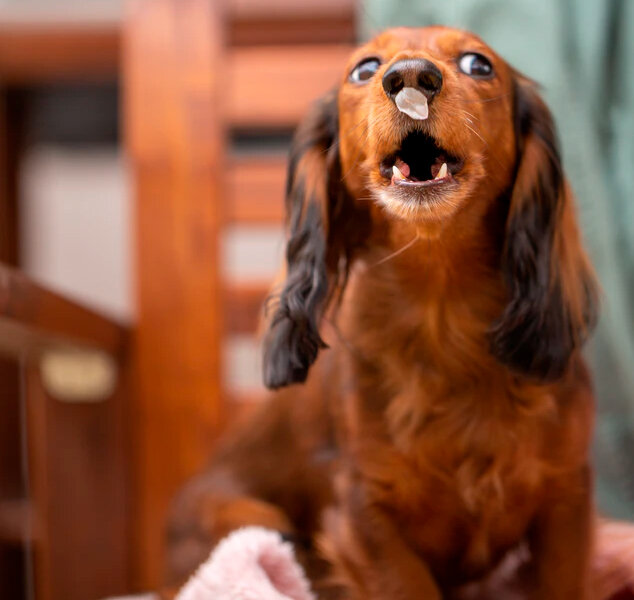 Photo by Glenn Han on Unsplash