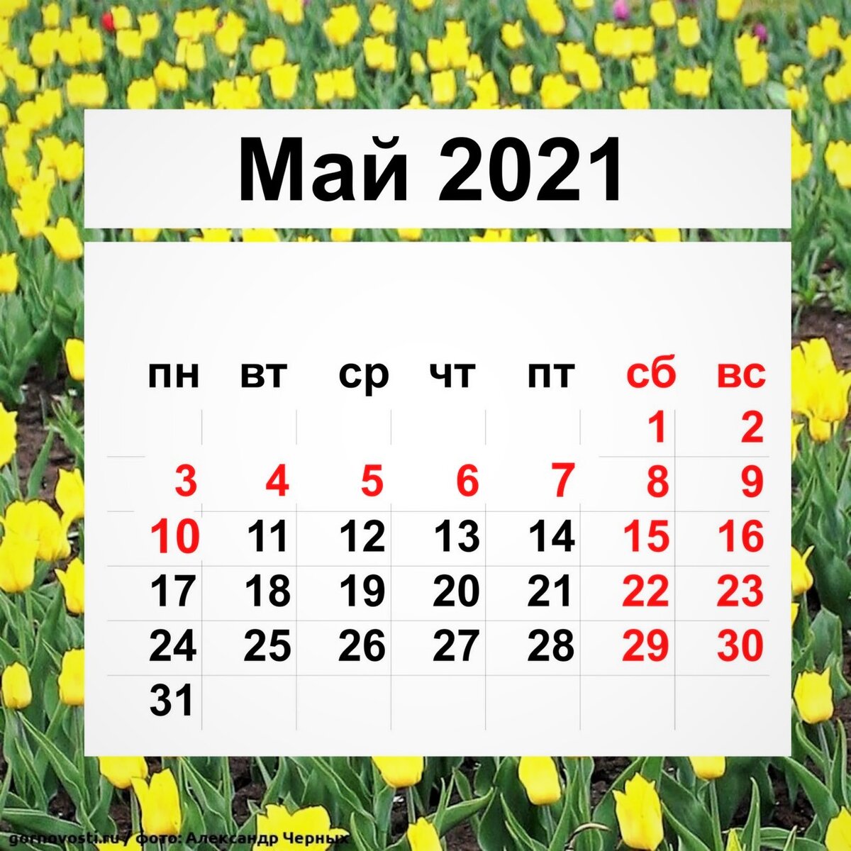Календарь на май 2021 года
