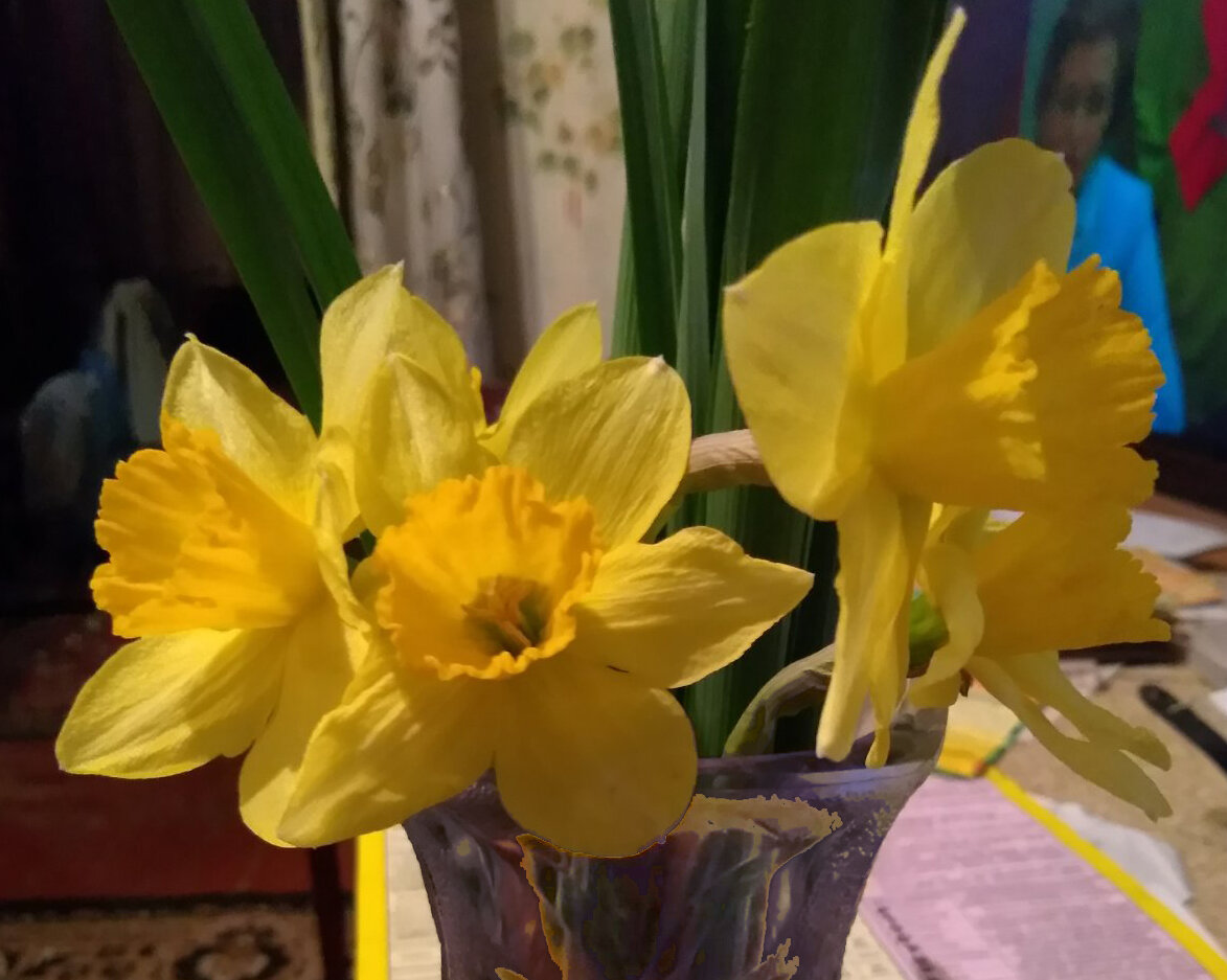 Наш букет из нарциссов