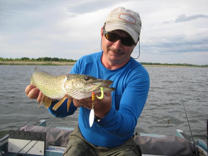 Для большей привлекательности всегда поддеваю на тройник блесны хвост от твистера. Фото автора.