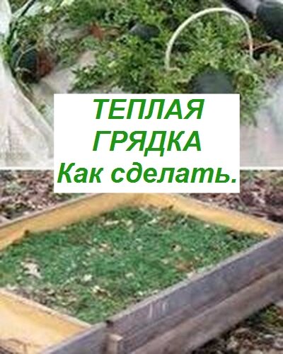 теплая грядка