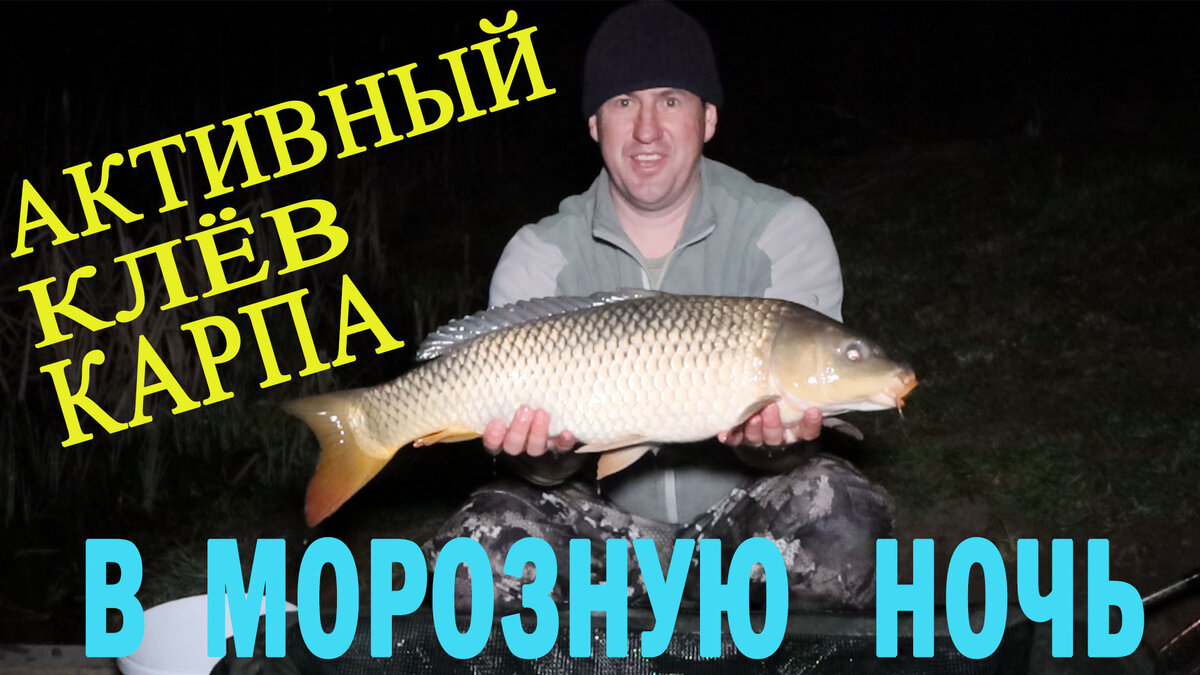 голый карп русская рыбалка фото 106