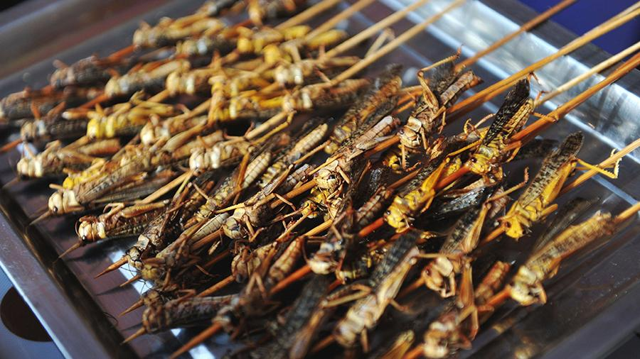 сухие кузнечики