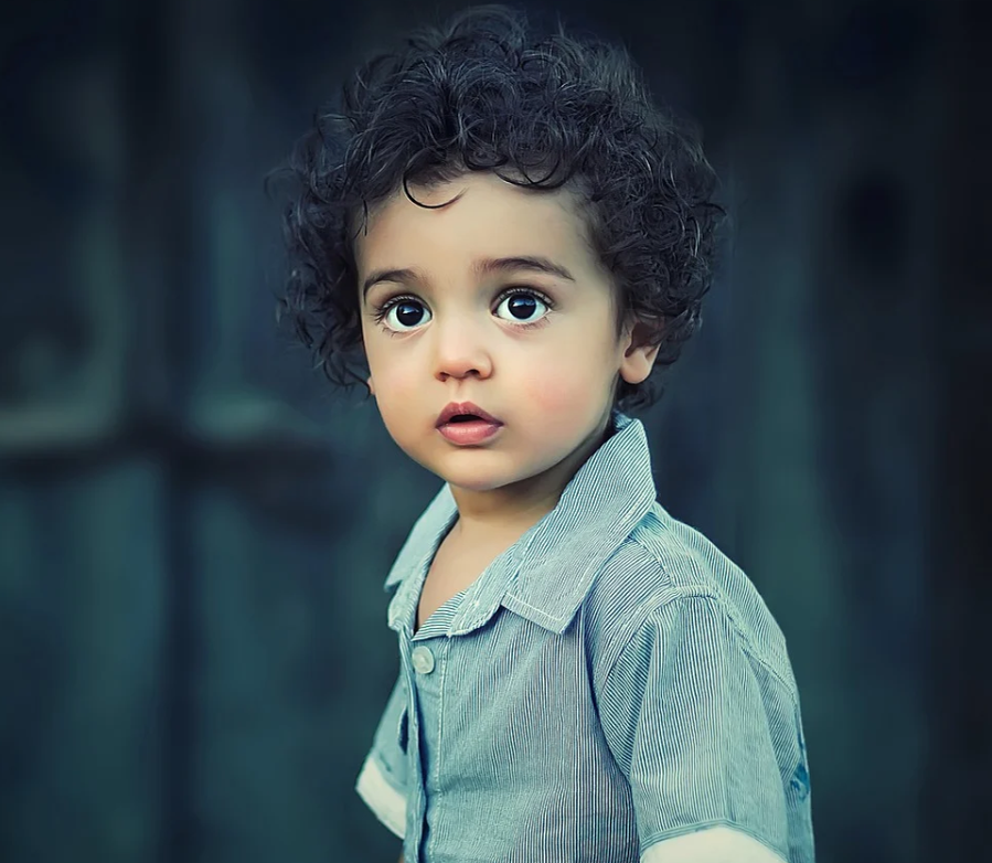 источник изображения pixabay.com 