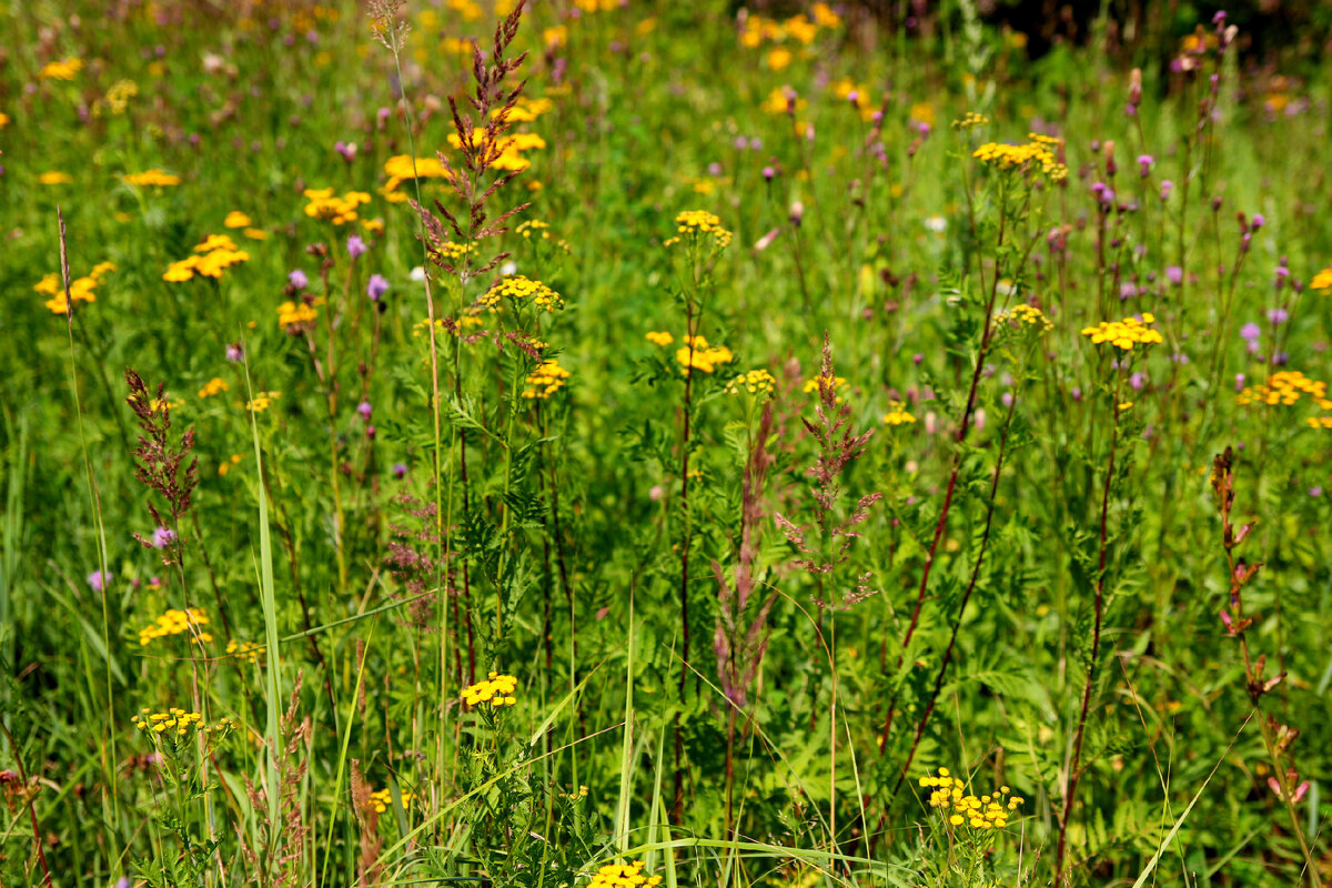личный архив