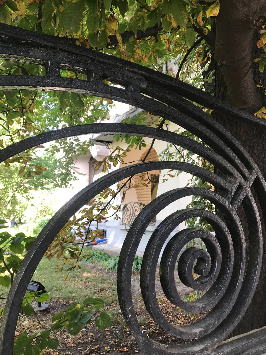 Вид на дом от ограды