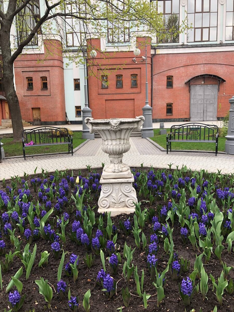 Москва