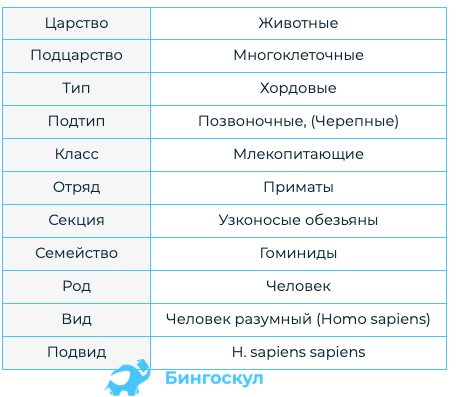 Строение скелета домашней птицы