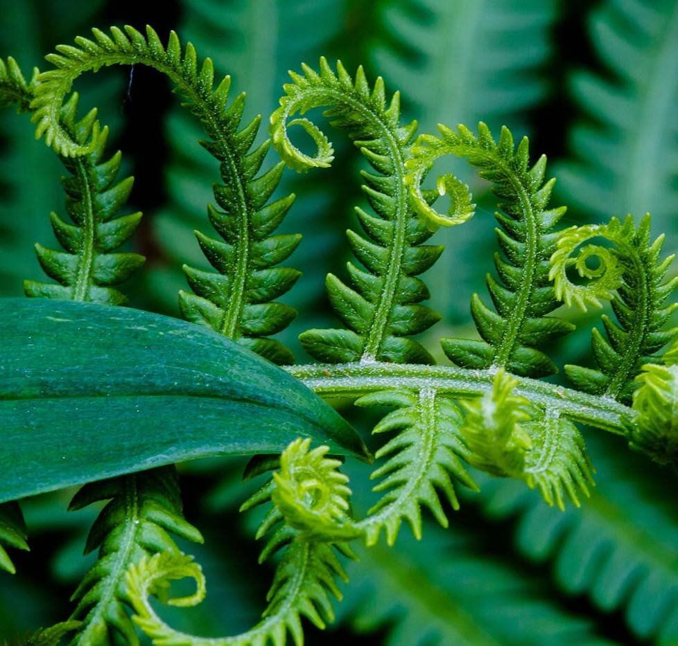 Фото из архива Яндекс